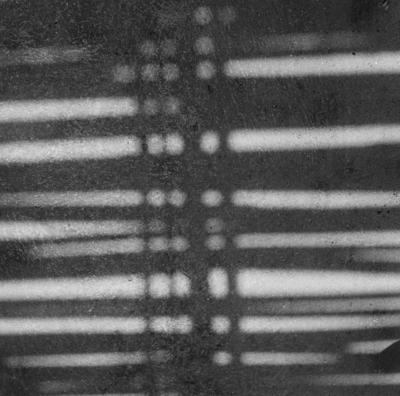 Sítio Burle Marx - sombra