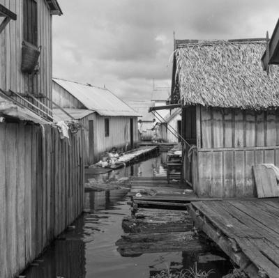 Palafitas flutuantes