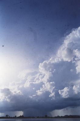 Ao fundo, vegetação