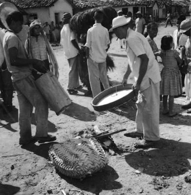 Bumba meu boi, festa popular