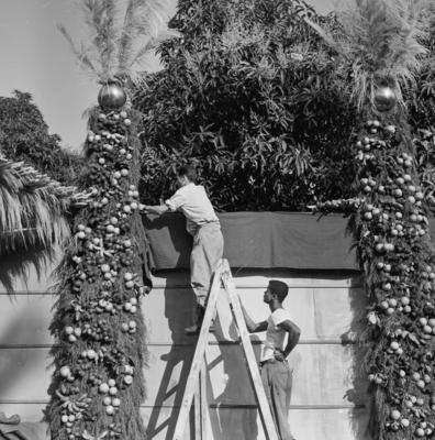 Preparativos para festa junina no Sítio Burle Marx