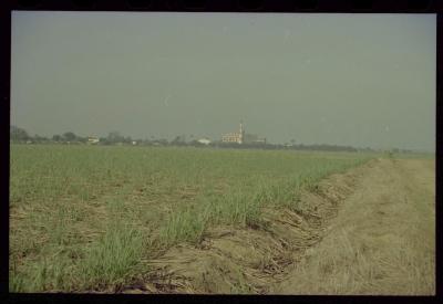 Produção de filme institucional sobre usinas de açúcar