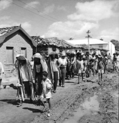 Bumba meu boi, festa popular