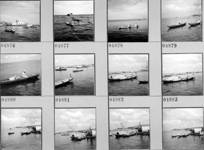 Palafitas flutuantes