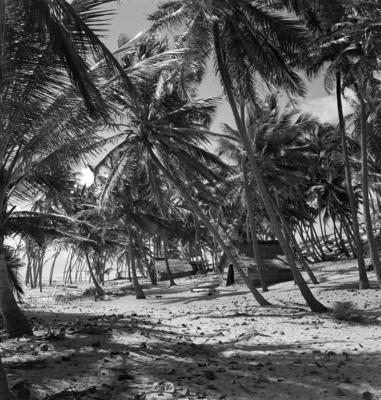 Jangadas e jangadeiros