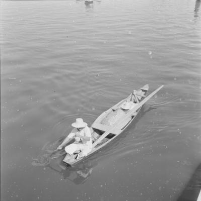 Palafitas flutuantes