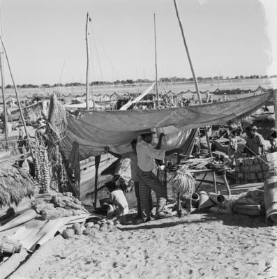 Acampamento de romeiros