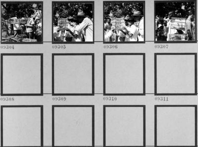 Feira dos Passarinhos