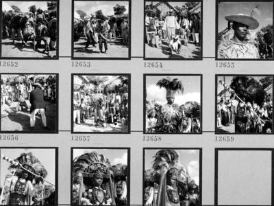 Bumba meu boi, festa popular