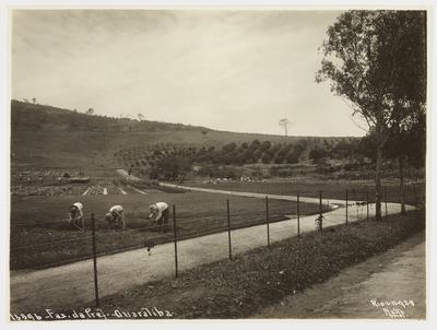 Fazenda da prefeitura em Guaratiba, atual Fazenda Modelo