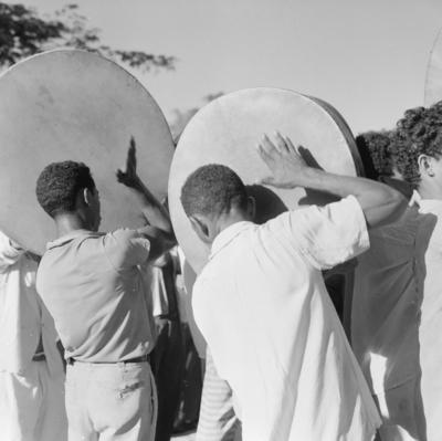 Bumba meu boi, festa popular