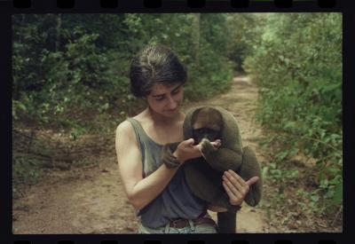 Parque de Noé, onde morava Marc van Roosmalen