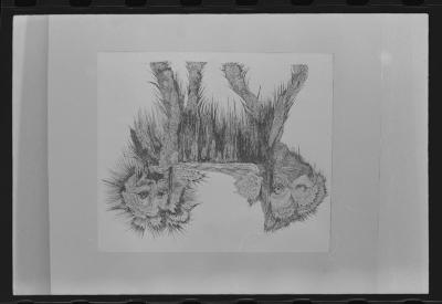 Reproduções de obras não identificadas