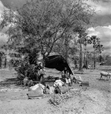 Canindé, acampamento de romeiros