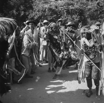 Bumba meu boi, festa popular