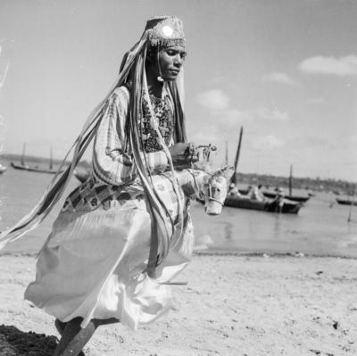 Bumba meu boi, festa popular