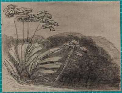 Sloth Trees - Bananas e Mangos by dusk - The Spot - 19th November 1854 -