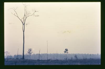 Filmagens de "Iracema: uma transa amazônica", com direção de Jorge Bodanzky e Orlando Senna