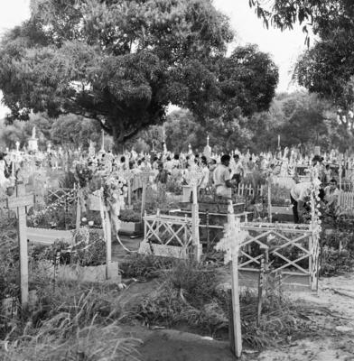 Alumiação, festa popular