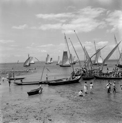 Procissão de Nosso Senhor dos Navegantes