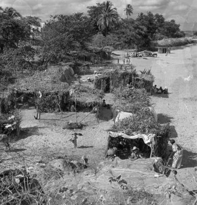 Canindé, casebres de sapê