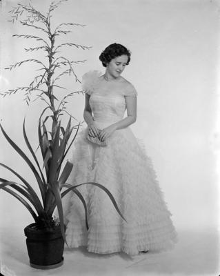 Idenise Paes de Almeida