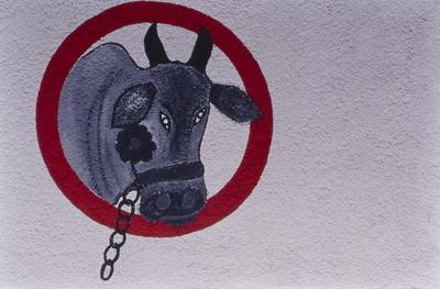 Flagrante de rua - placas, letreiros e cartazes