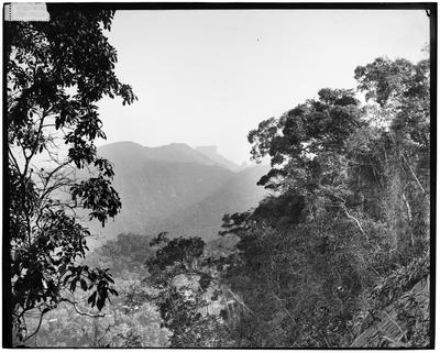 Floresta da Tijuca com o Morro Dois Irmãos e a Pedra da Gávea ao fundo