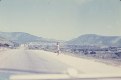 Rodovia Rio-Bahia (BR-116)