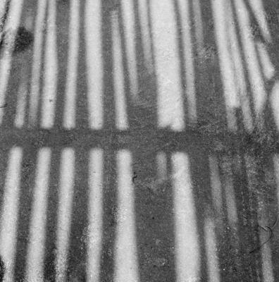 Sítio Burle Marx - sombra