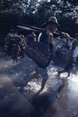 Série Caranguejeiras - Catadores de caranguejo