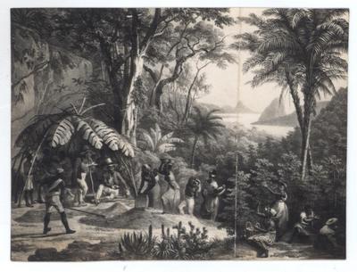 "Colheita do café" (reprodução de litogravura)