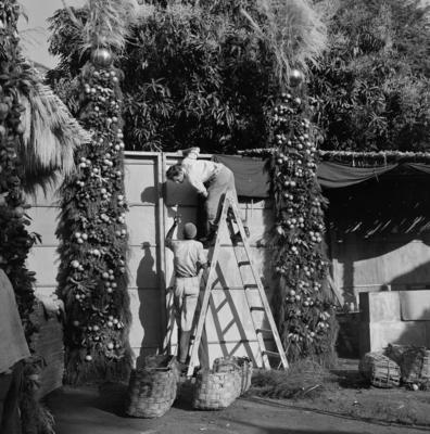 Preparativos para festa junina no Sítio Burle Marx