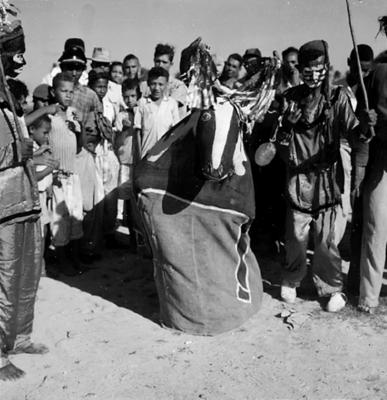 Bumba Meu Boi, festa popular