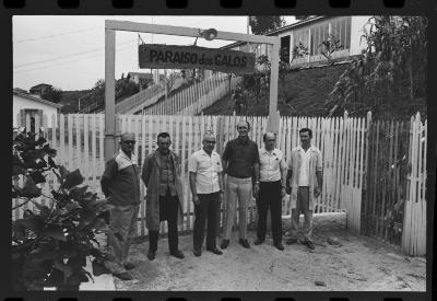 Sítio "Paraíso dos Galos"