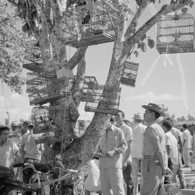 Feira dos Passarinhos