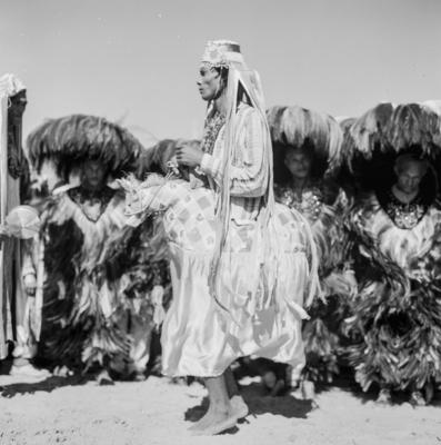 Bumba meu boi, festa popular