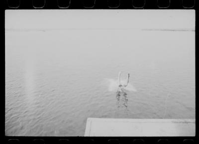 Filmagens de "Iracema: uma transa amazônica", com direção de Jorge Bodanzky e Orlando Senna