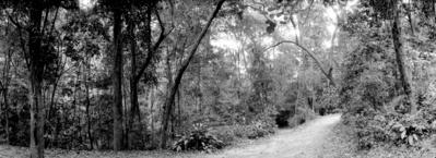 Parque Alfredo Volpi