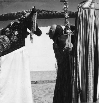 Bumba meu boi, festa popular