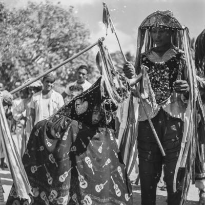 Bumba meu boi, festa popular
