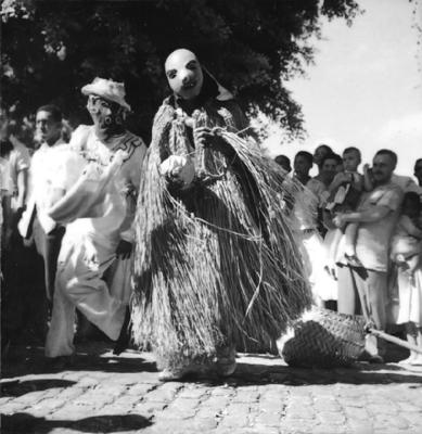 Bumba meu boi, festa popular