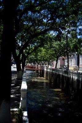 Margem do Rio Piabanha