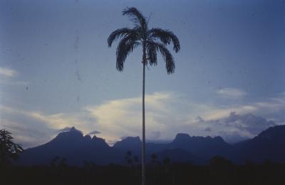 Expedição Pico da Neblina