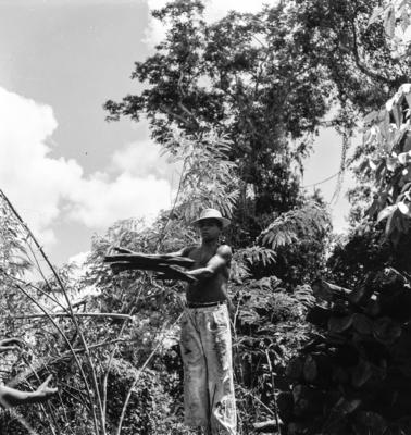 Série "Estrada de Ferro Tocantins"