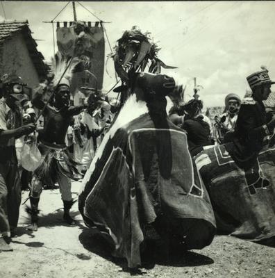 Bumba Meu Boi, festa popular