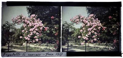 Jardins de Bagatelle