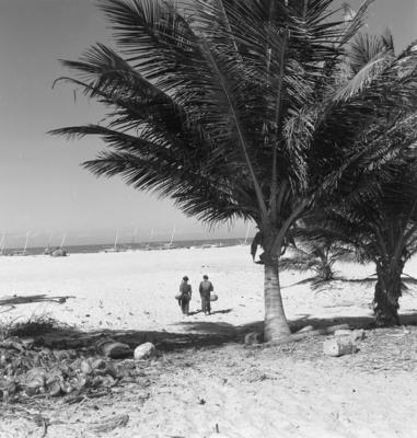 Jangadas e jangadeiros