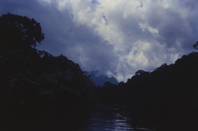 Expedição Pico da Neblina