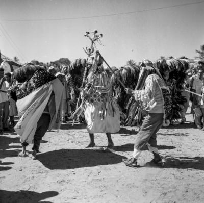 Bumba meu boi, festa popular